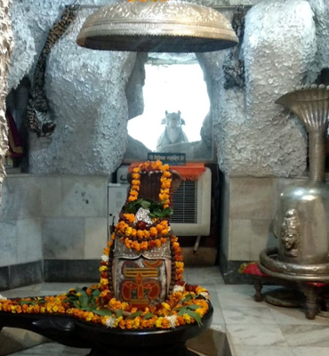 Image Gallery