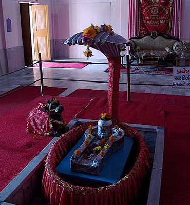 Image Gallery