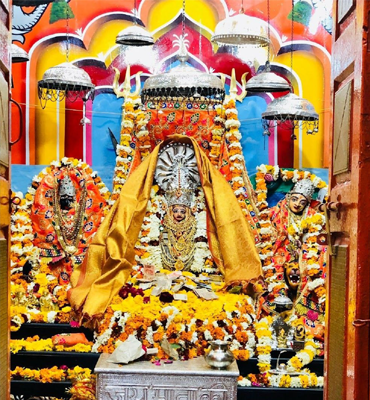 Image Gallery
